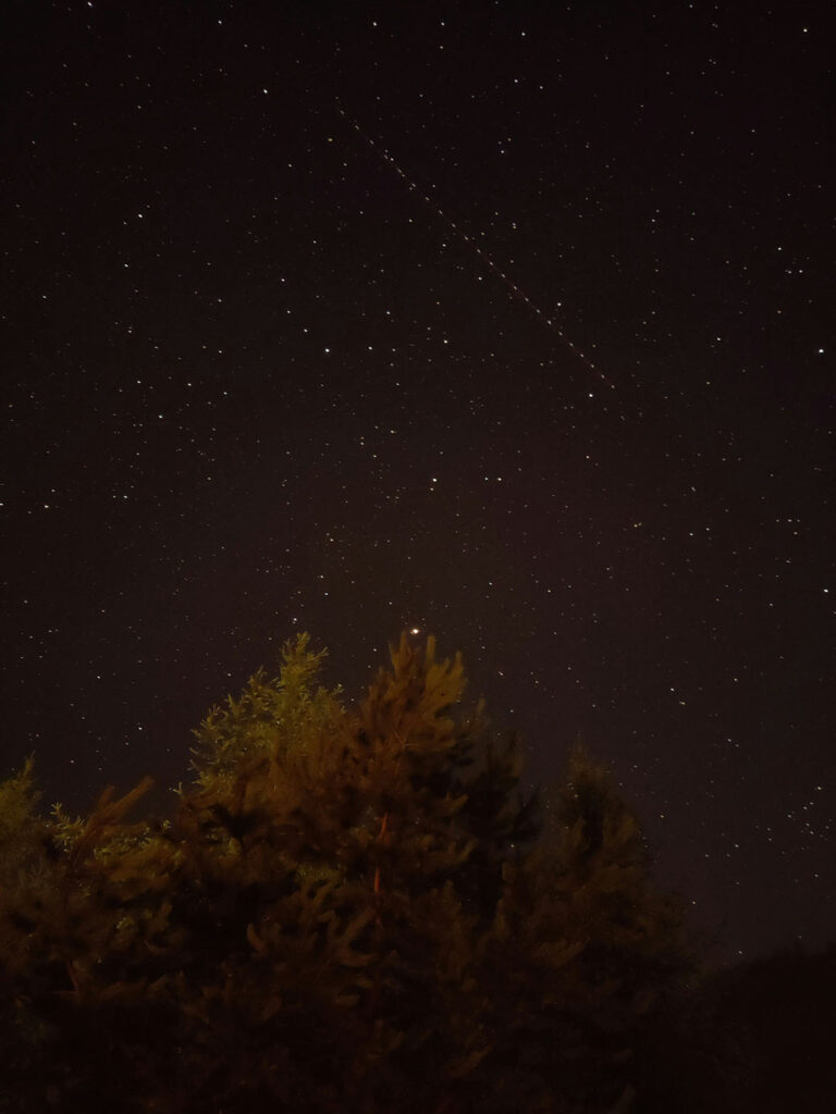 Starlink EOL in the night sky